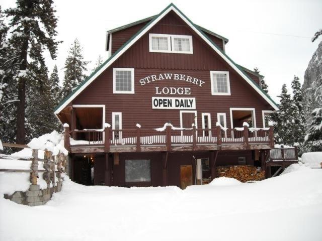 Upper Forni Strawberry Lodge المظهر الخارجي الصورة